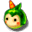 Mandragora